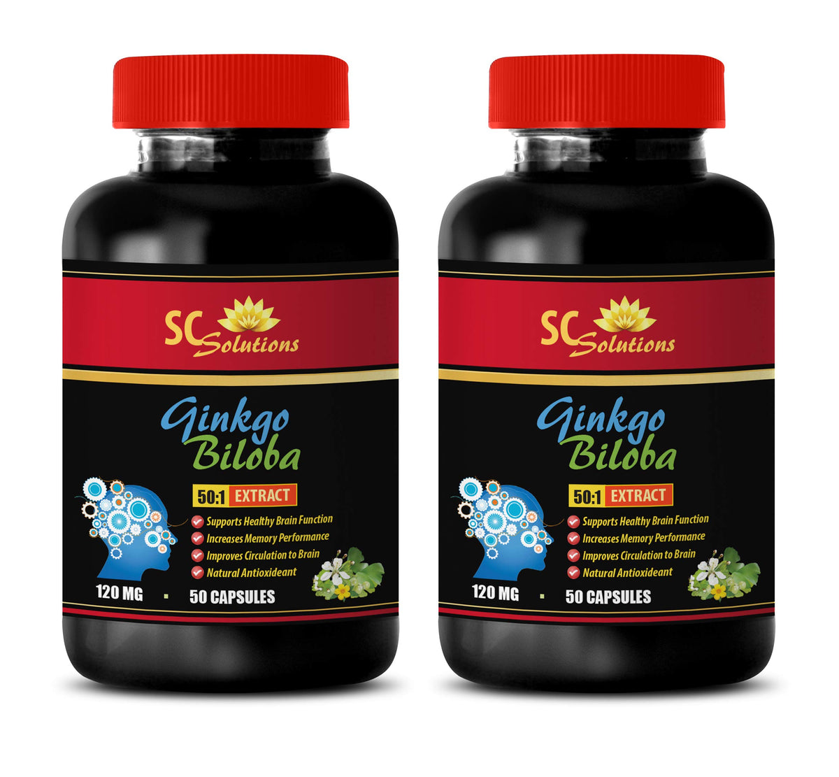 Skin Care Solution Ginkgo Biloba 50:1 Extract 120mg - 100 Capsules