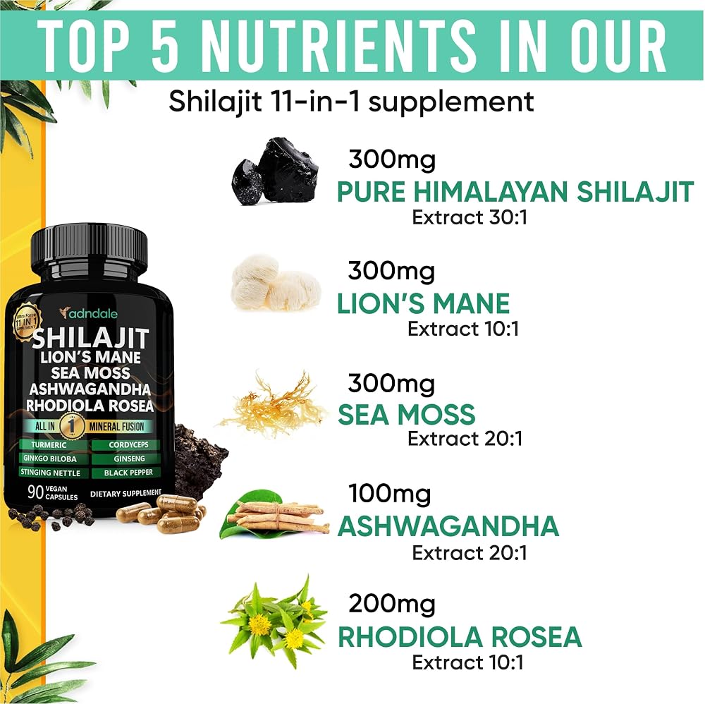Adndale Shilajit Supplement