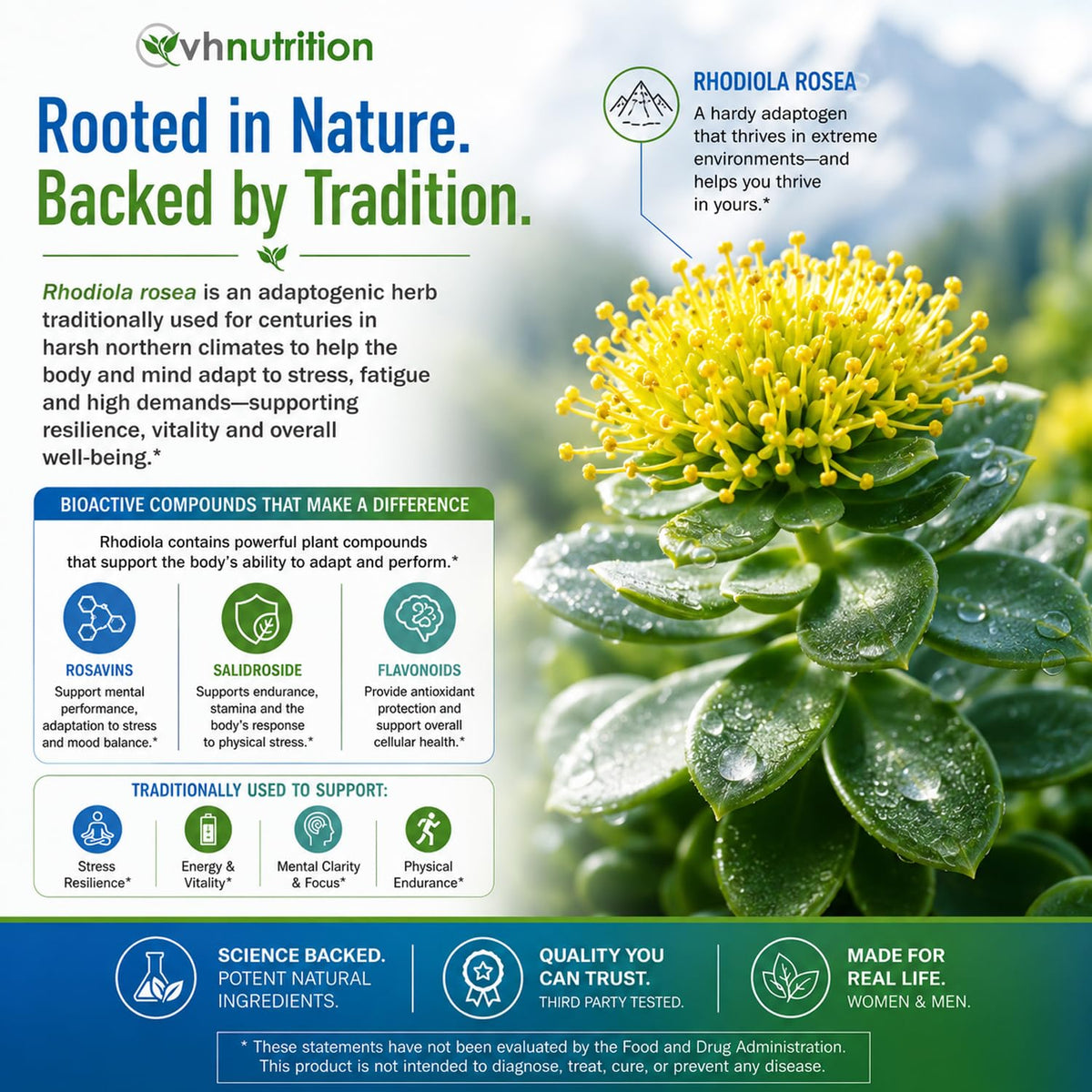VH Nutrition Rhodiola Rosea Supplement 3% Salidrosides - 60 Capsules - image 4