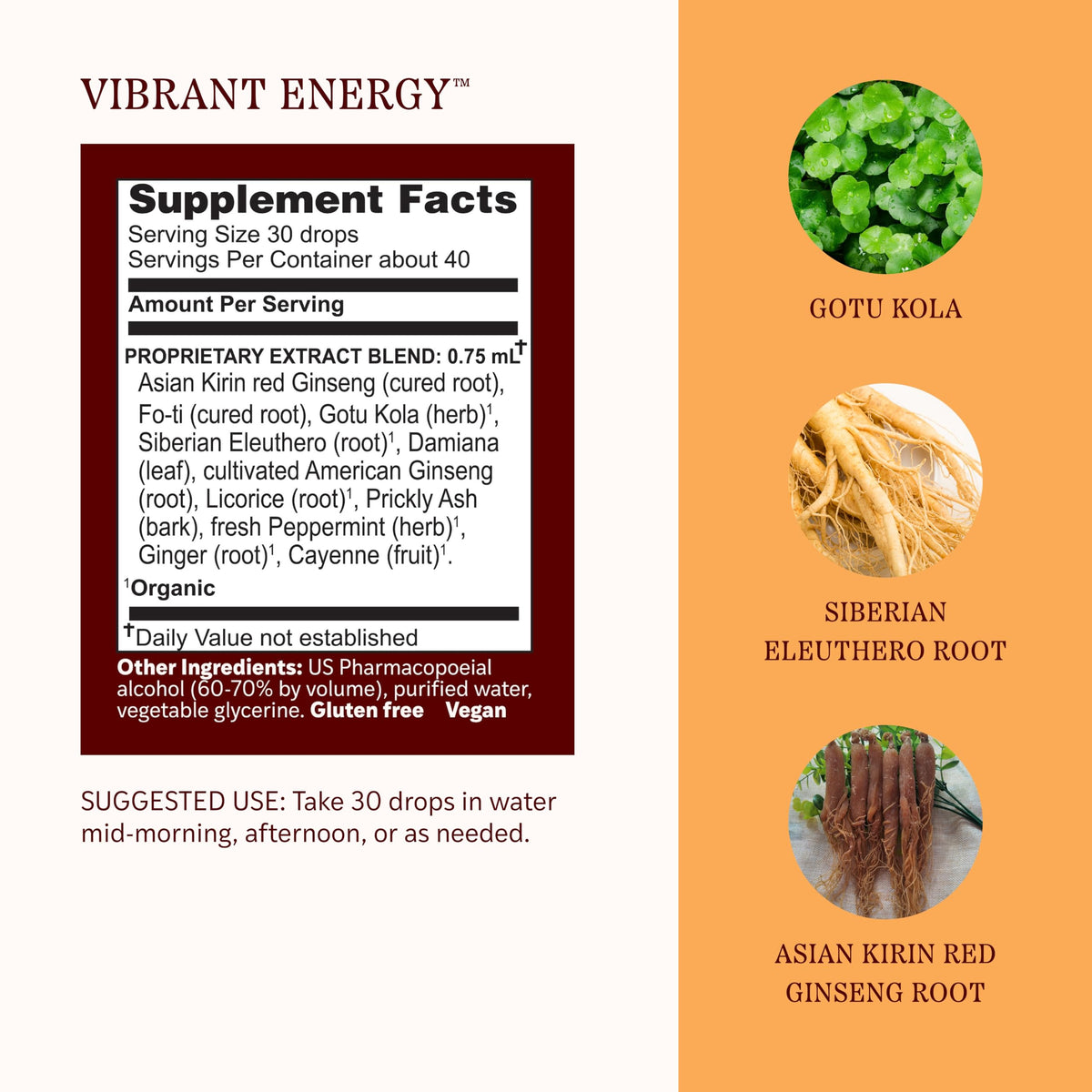 Herbs Etc. Vibrant Energy Liquid Extract - 1 fl oz - image 4