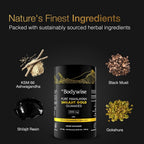 Be Bodywise Pure Himalayan Shilajit Gummies Gold I No Added Sugar I