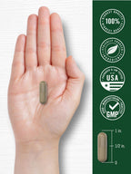 Carlyle Dong Quai Capsules - 250 Count - image 7