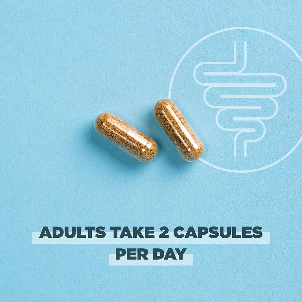 Ancient Nutrition Gut Recovery Probiotics - 60 Capsules - image 5