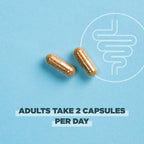 Ancient Nutrition Gut Recovery Probiotics - 60 Capsules - image 5