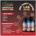 Organic Cadane Berberine Supplement - 150 Vegetarian Capsules - image 7