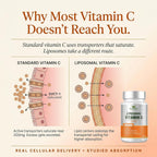 Sundhed Natural Pure Liposomal Vitamin C - 1200mg Immune System - image 4