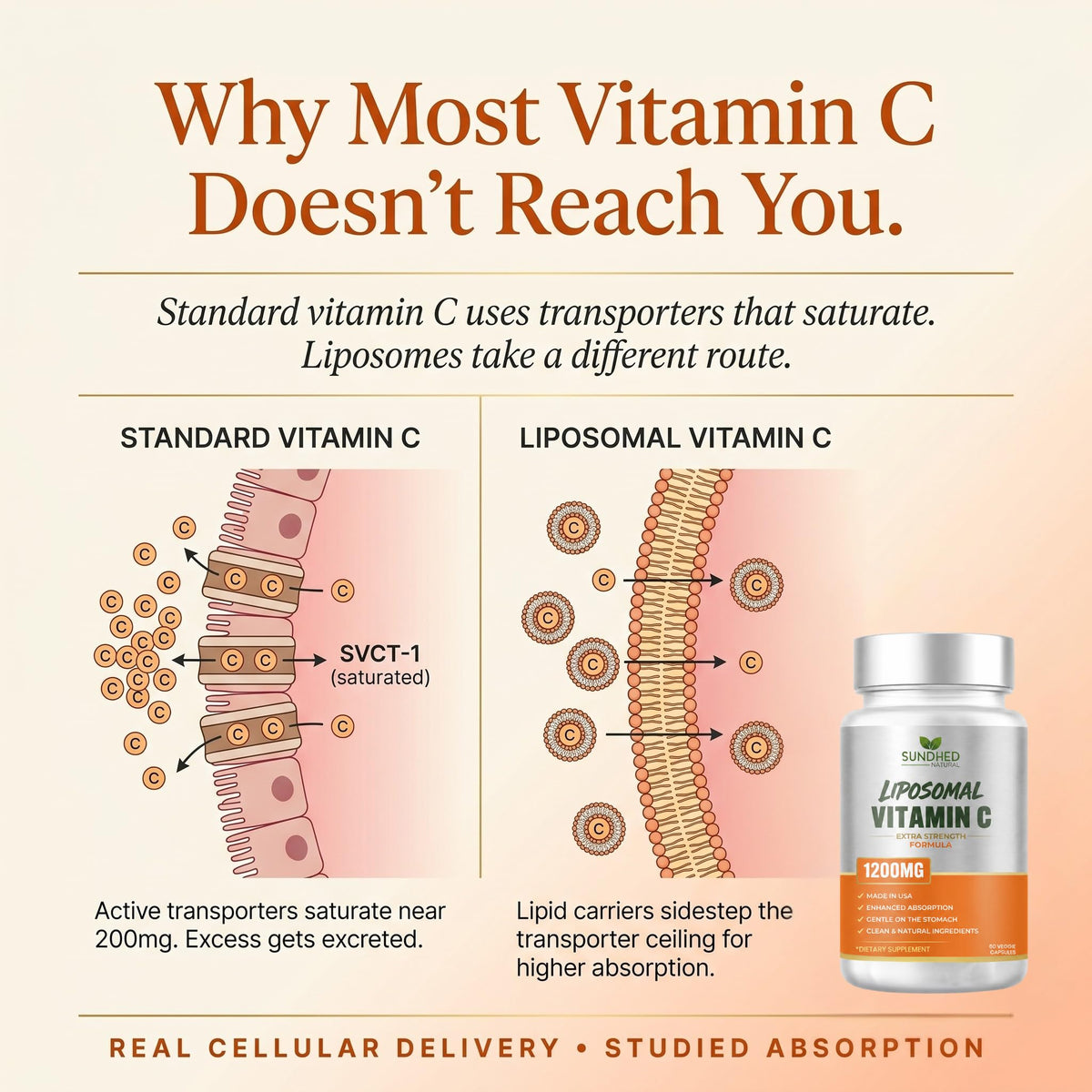 Sundhed Natural Pure Liposomal Vitamin C - 1200mg Immune System