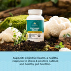 Ancient Nutrition Regenerative Organic Certified Vitamins and Minerals