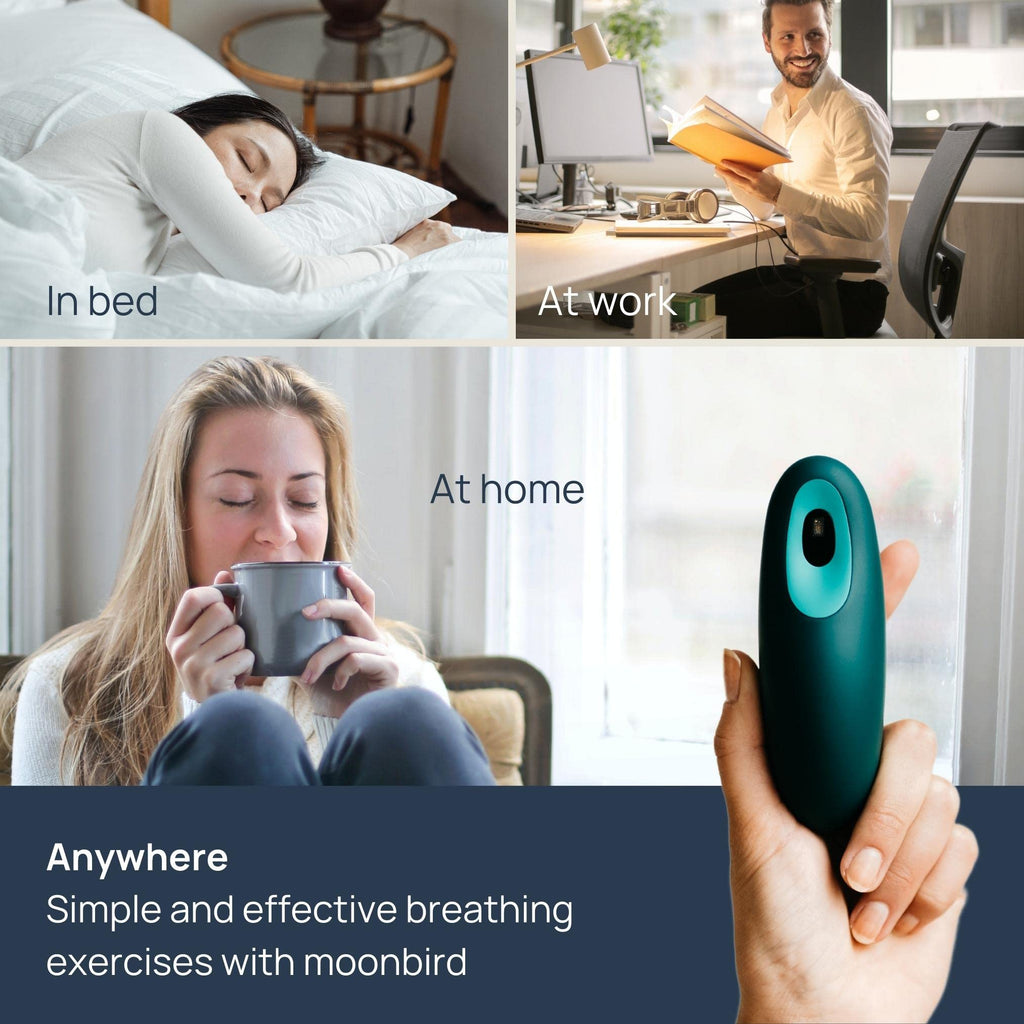 moonbird Handheld Breathing Guide Rechargeable - Blue Green - image 3