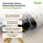 B'Leaf Nature Berberine Phytosome 1100mg - 120 Capsules - image 6