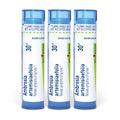 Boiron Ambrosia Artemisiaefolia 30C Homeopathic Medicine - 240 Pellets