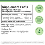 Double Wood Supplements Phosphatidyl Choline 1,200mg - 210 Softgels - image 2