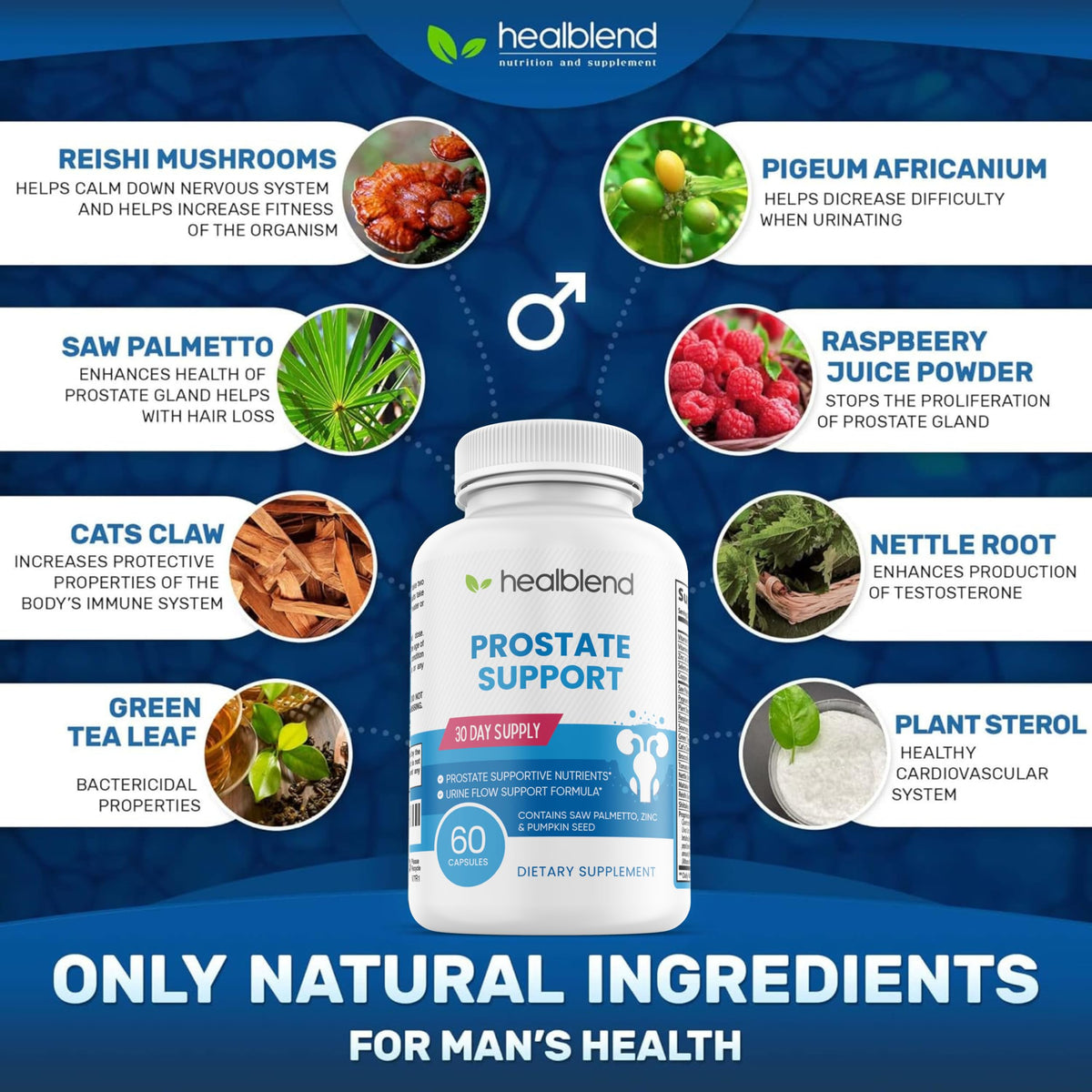 Healblend Prostate Formula Supplement for Men - 60 Capsules - image 4