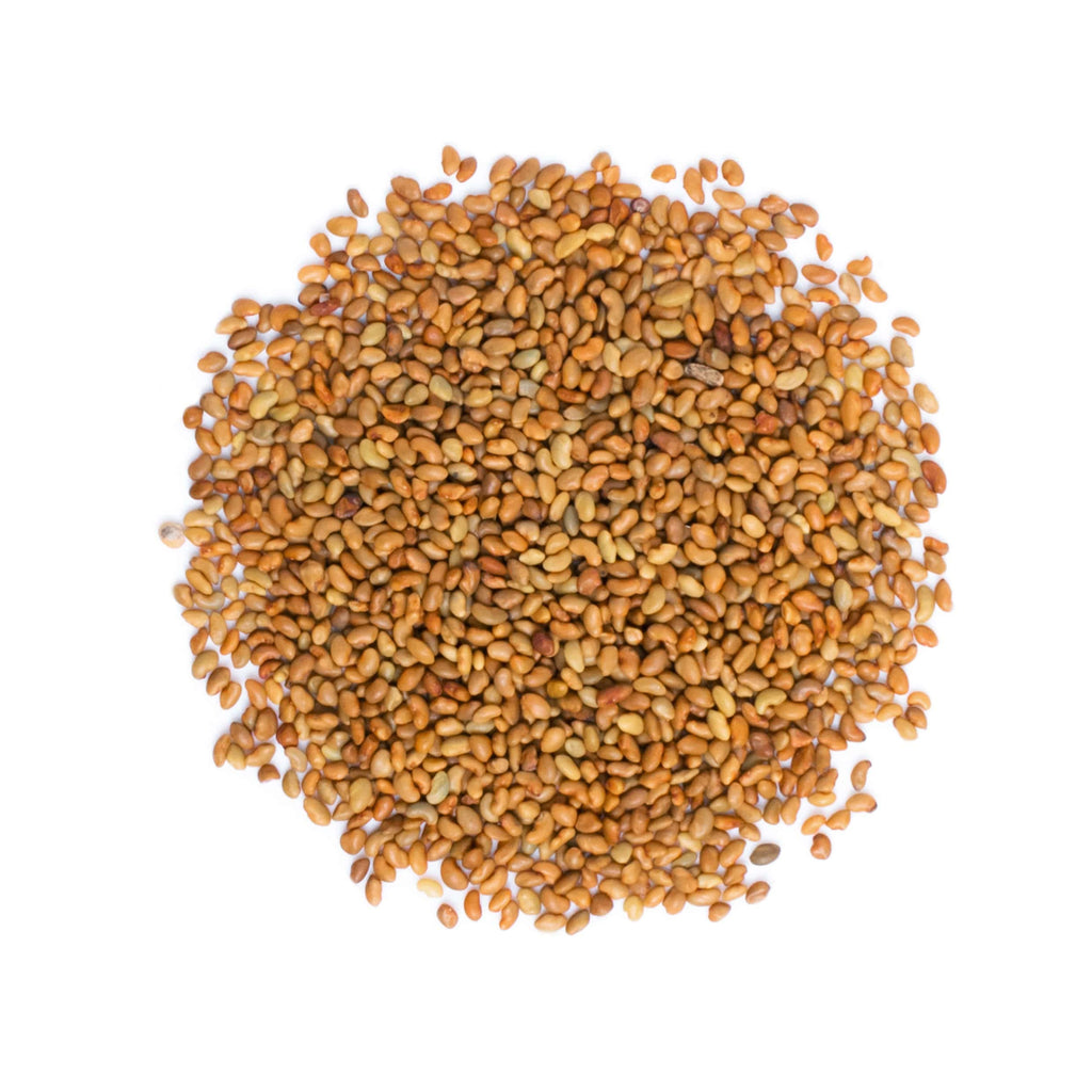 Food to Live Organic Alfalfa Sprouting Seeds - 8 Ounces - image 3