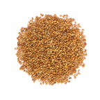 Food to Live Organic Alfalfa Sprouting Seeds - 8 Ounces - image 3