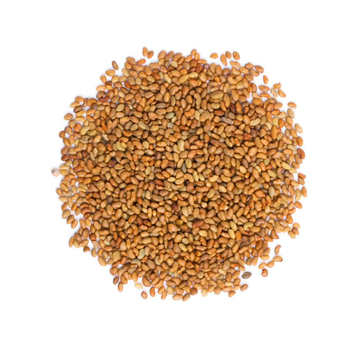Food to Live Organic Alfalfa Sprouting Seeds - 8 Ounces - image 3