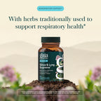 Gaia Herbs Sinus & Lung Supreme - 60 Vegan Capsules - image 3