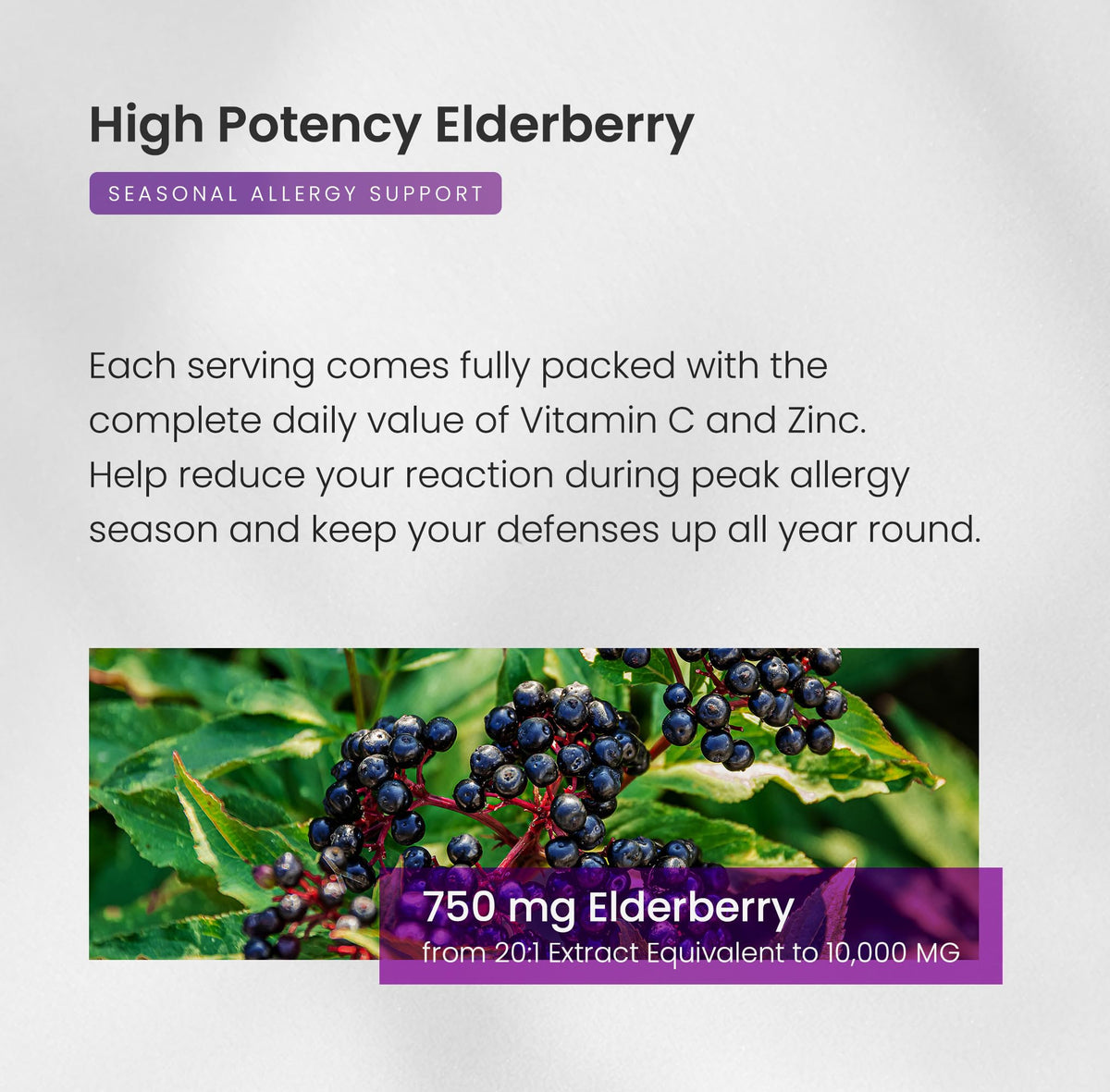 NutraChamps Elderberry Capsules 1000mg with Vitamin D3 - 120 Capsules - image 5