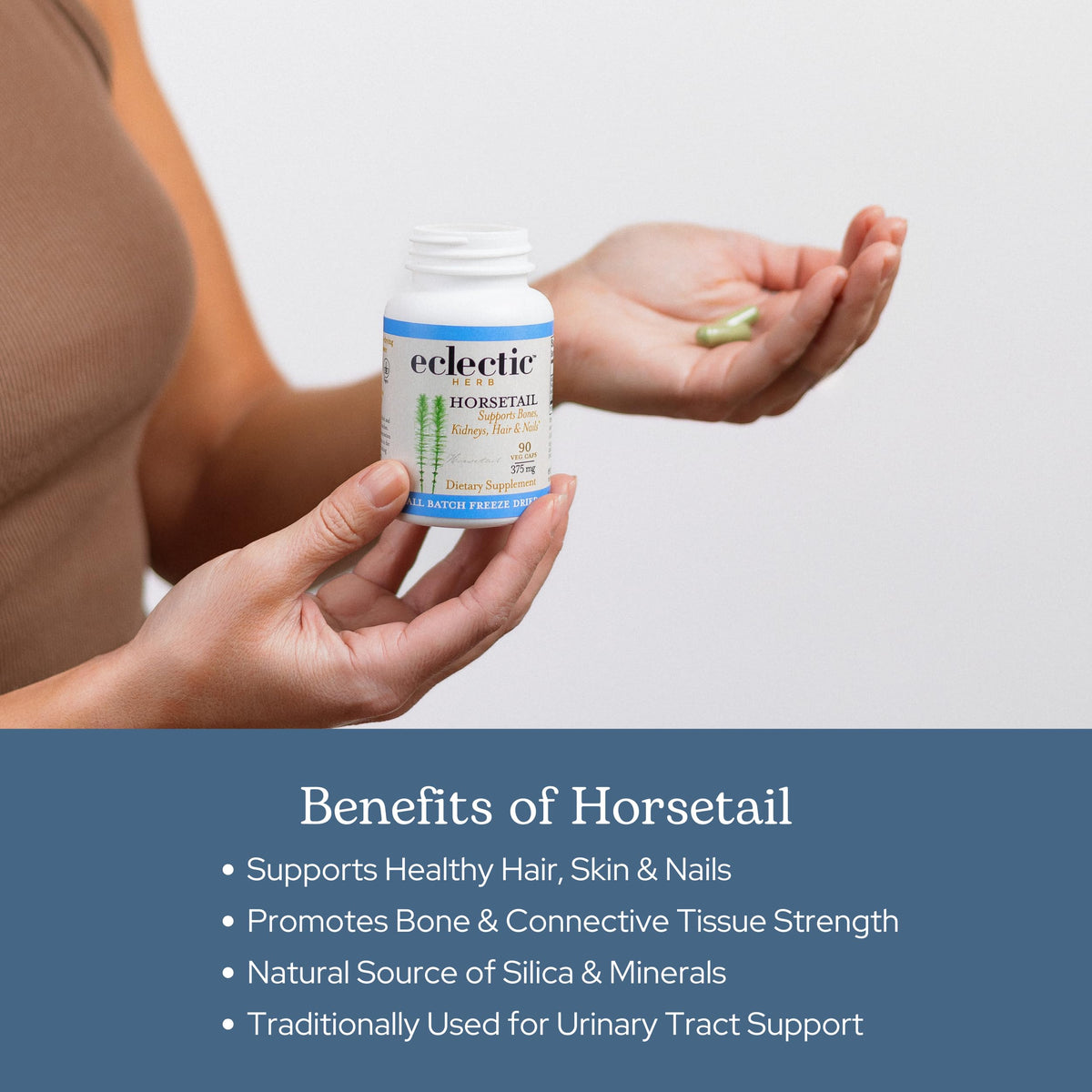 Eclectic Institute Horsetail Capsules Mineral Support - 90 Capsules - image 4