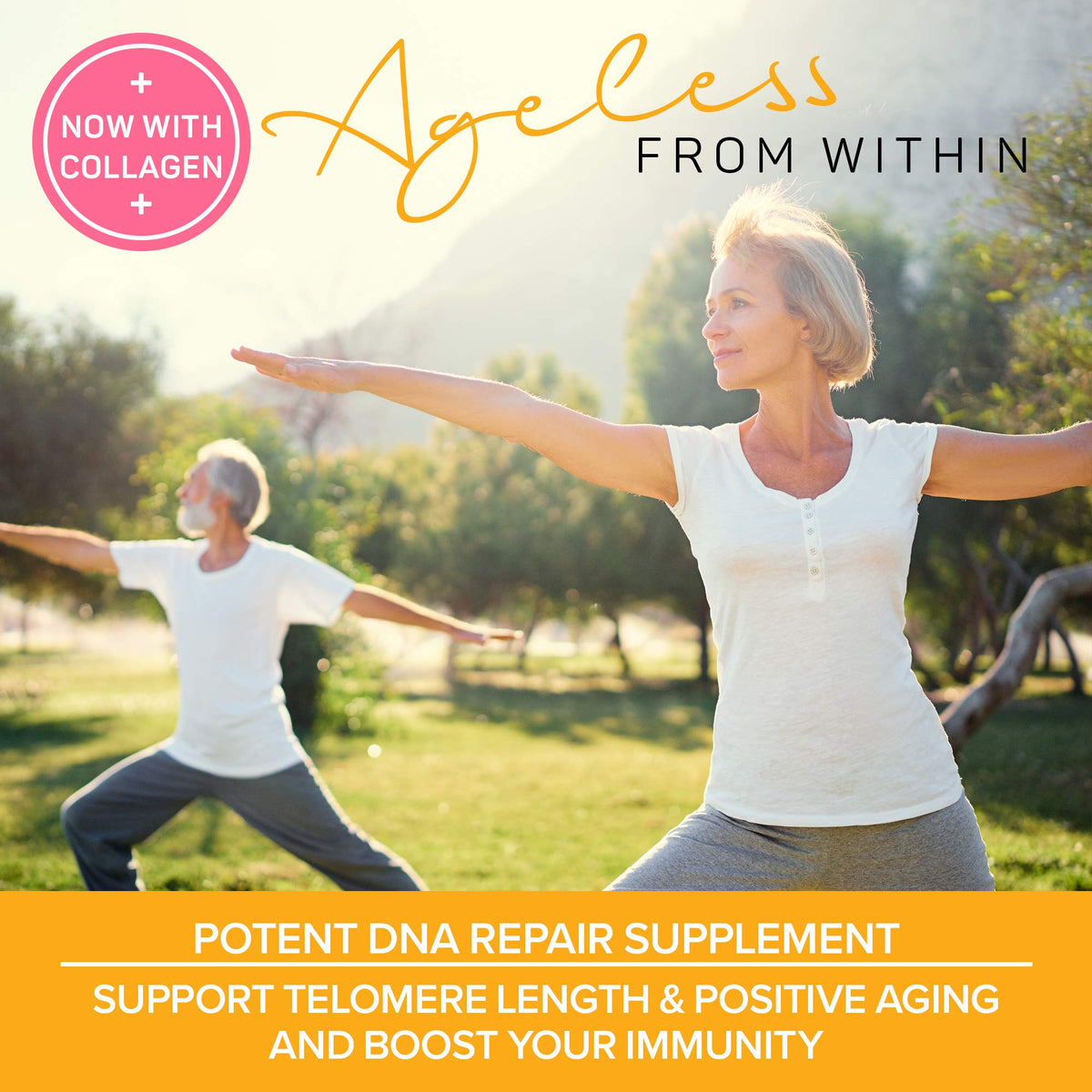 PURAZ Telomere Supplement with Astragalus & Collagen - 60 Capsules - image 2