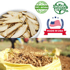 DABC OAK LAND American Ginseng Slices from Wisconsin