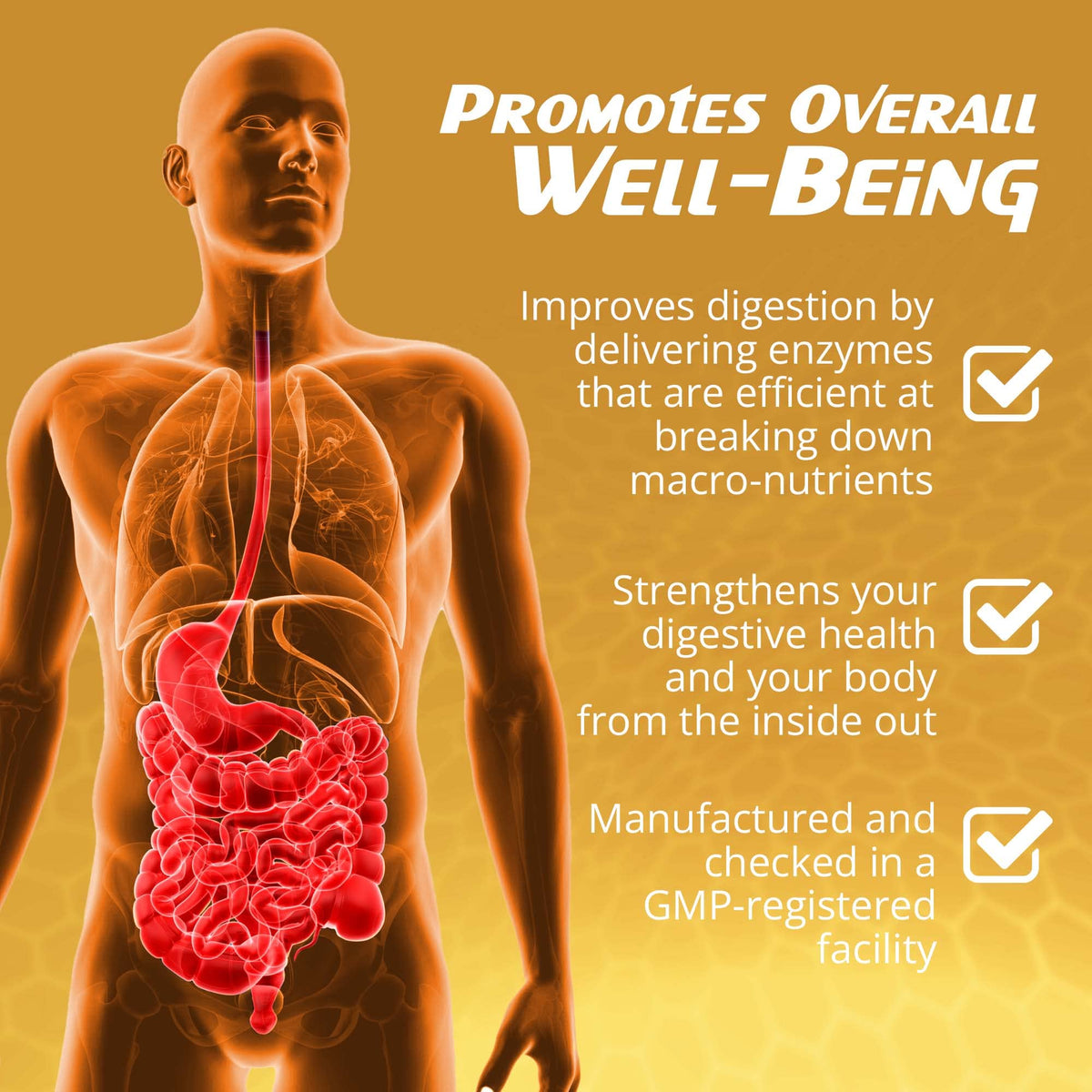 RaDoTech CalmBelly Digestive Enzymes & Probiotics - 60 Capsules - image 7