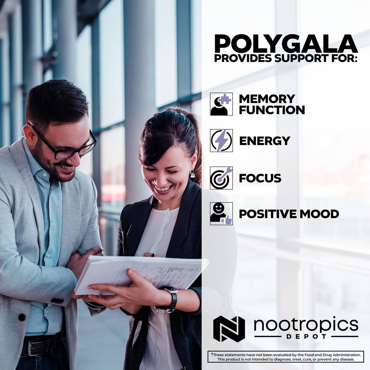 Nootropics Depot Polygala tenuifolia 20:1 Extract 100mg Capsules