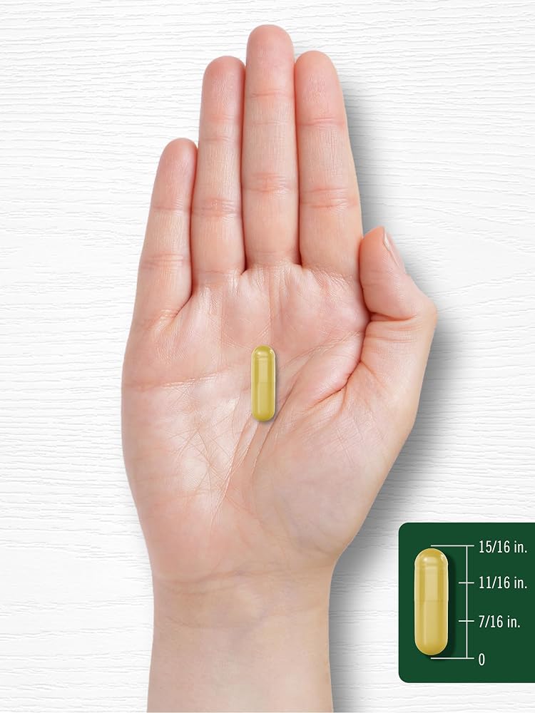 Carlyle Berberine with Ceylon Cinnamon - 60 Vegetarian Capsules - image 8