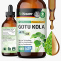 BIO KRAUTER Gotu Kola Tincture - Centella Asiatica - Promotes Focus
