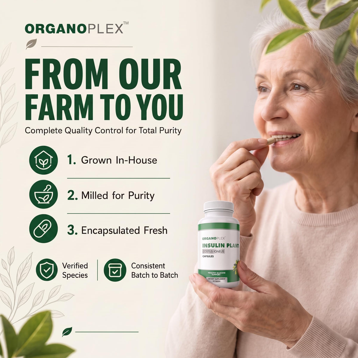 ORGANOPLEX Insulin Plant Capsules - Blood Sugar Support Supplement - image 4