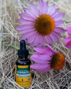 Herb Pharm Rapid Immune Boost Liquid Herbal Formula for Active Immune