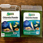 GREEN WATER FARM Concentrated Chlorella Powder - 1.06 oz - image 3