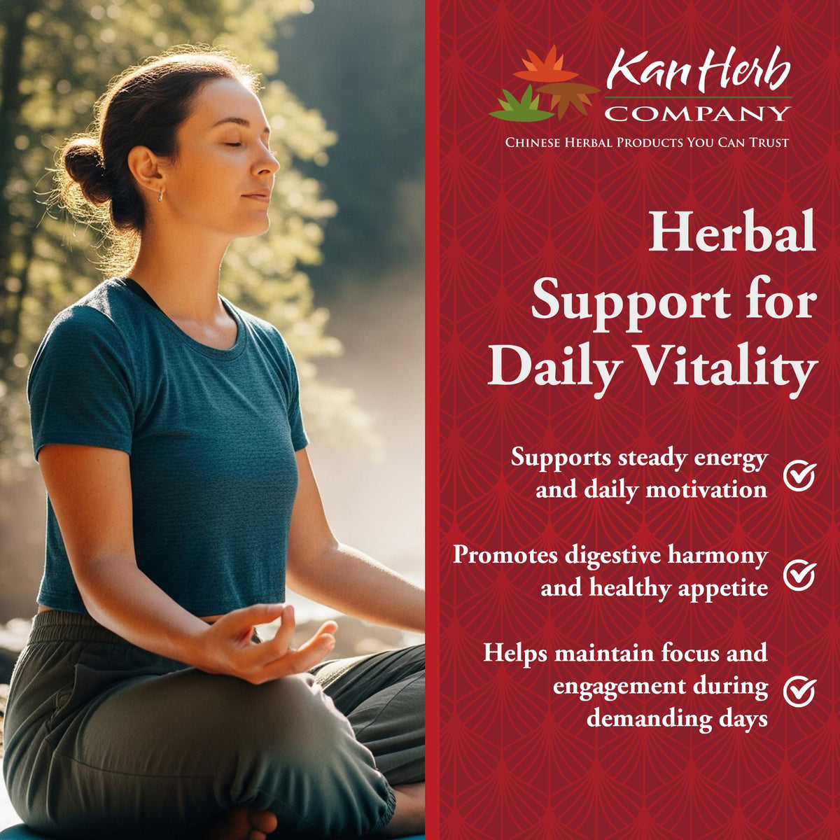 Kan Herb Arouse Vigor Traditional Herbal Formula - 120 Tablets - image 5
