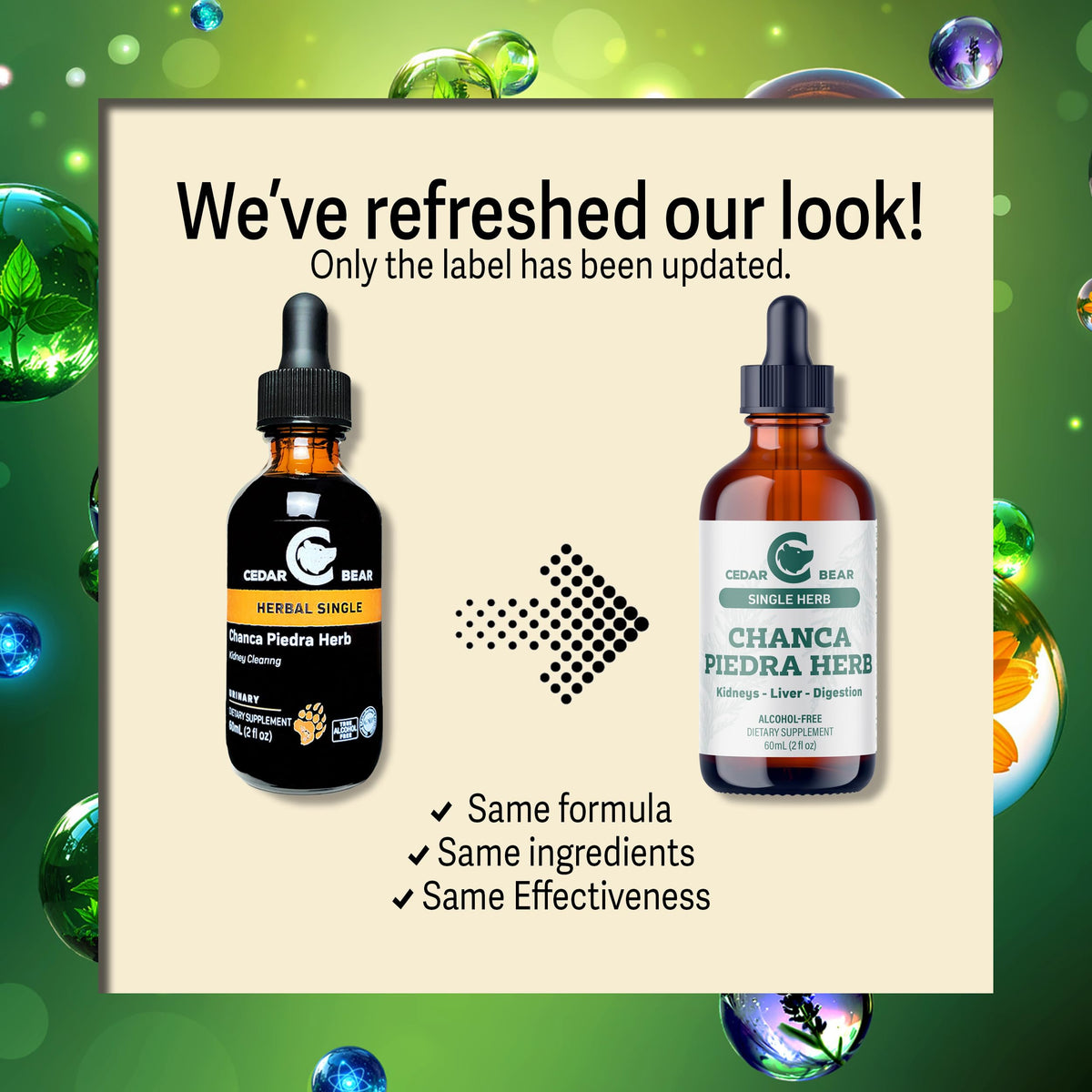 Cedar Bear Naturales Chanca Piedra Liquid Herbal Supplement - 2 Fl Oz - image 3