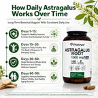 PRISTINE'S Astragalus Root Capsules for Immunity & Lung Health - 180 Count - image 4