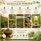 WAY 4 ORGANIC W4O Guava Leaf Powder (100% Natural & Pure)