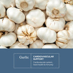 Eclectic Herb, Garlic Capsules, Heart Health, Immune Support