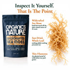 ORGANICS NATURE Raw Sea Moss Irish Wildcrafted Sun Dried - 4 Oz - image 3