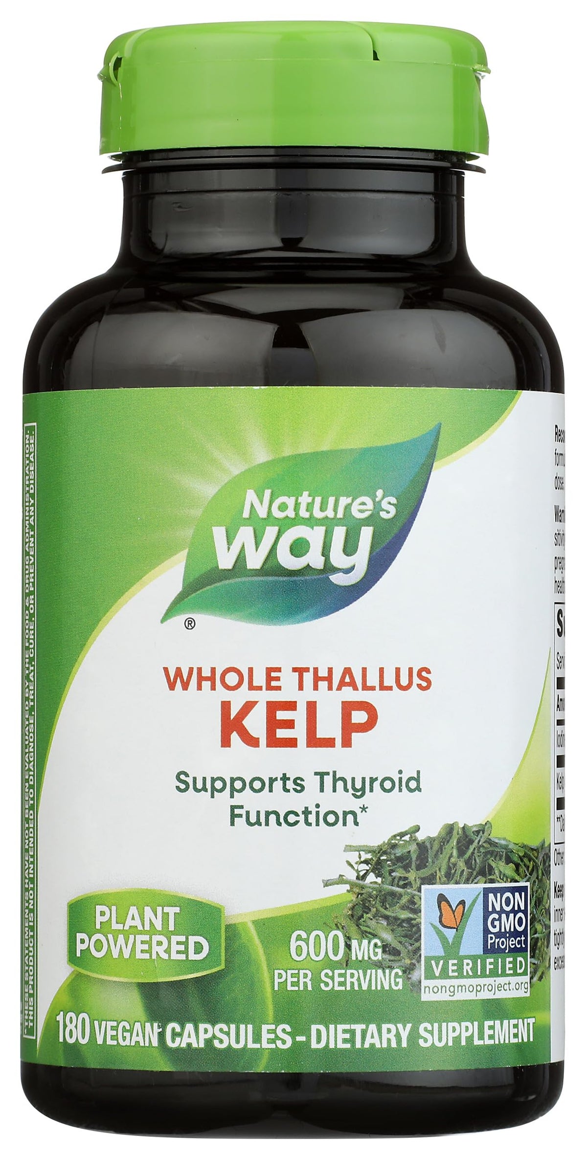 Nature's Way Kelp Thyroid Function Support - 180 Capsules