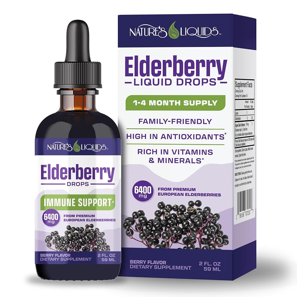 Nature's Liquids Organic Elderberry Syrup Sugar Free - 2 Fl Oz