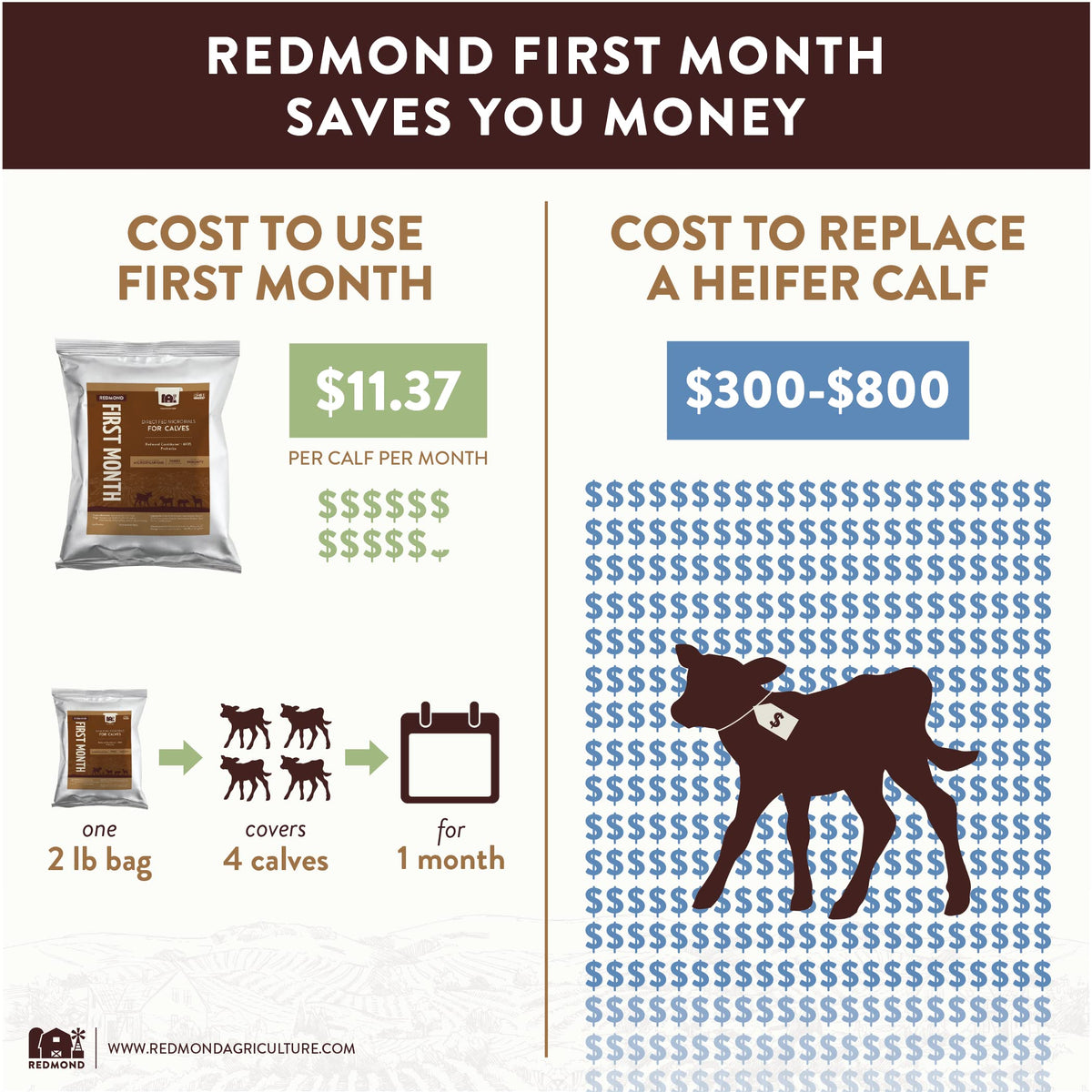 Redmond First Month Calf Direct Fed Microbials - Immune Stimulator