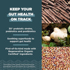 Ancient Nutrition Gut Recovery Probiotics - 60 Capsules - image 3