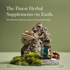Gaia Herbs Reishi Mushroom Immune Support - 40 Vegan Capsules - image 2