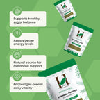 H&C Gymnema Sylvestre Powder - 227g - image 3