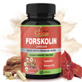 Organic Cadane Forskolin Supplements with Turmeric & Green Tea - 60 Capsules