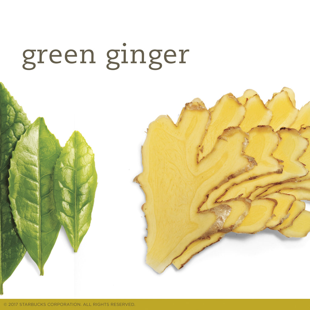 TAZO Green Ginger Tea Bags - 20 Count - image 3