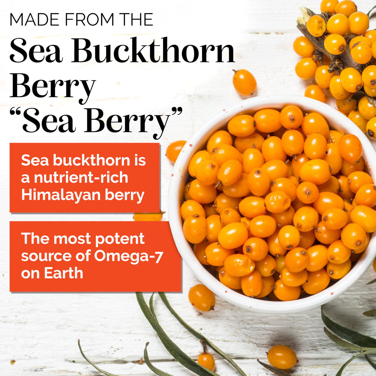 sibu Sea Buckthorn Omega-7 Softgels - 60 Count - image 2