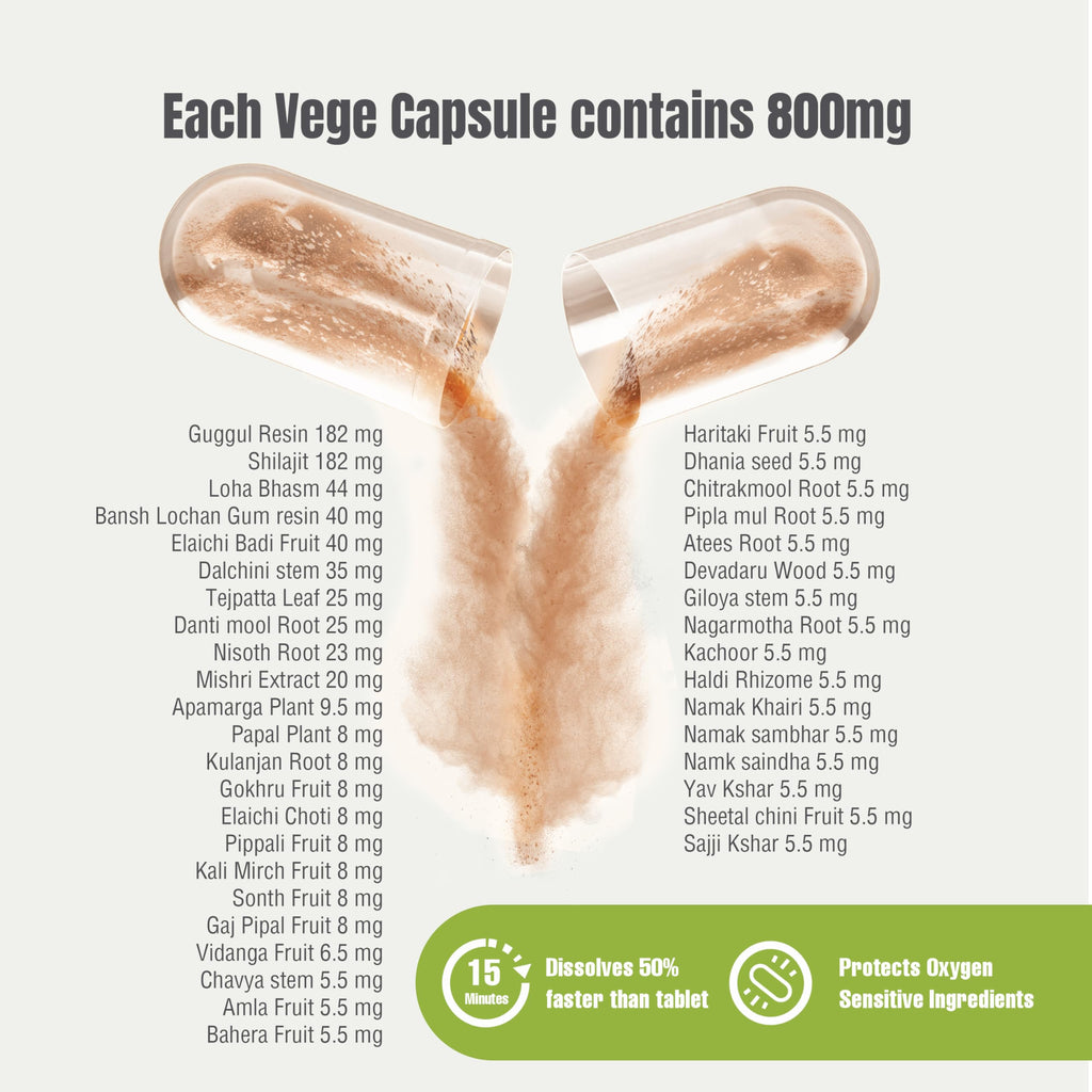 Herbsforever Chanderprabha Capsules Ayurvedic Kidney Support - image 2