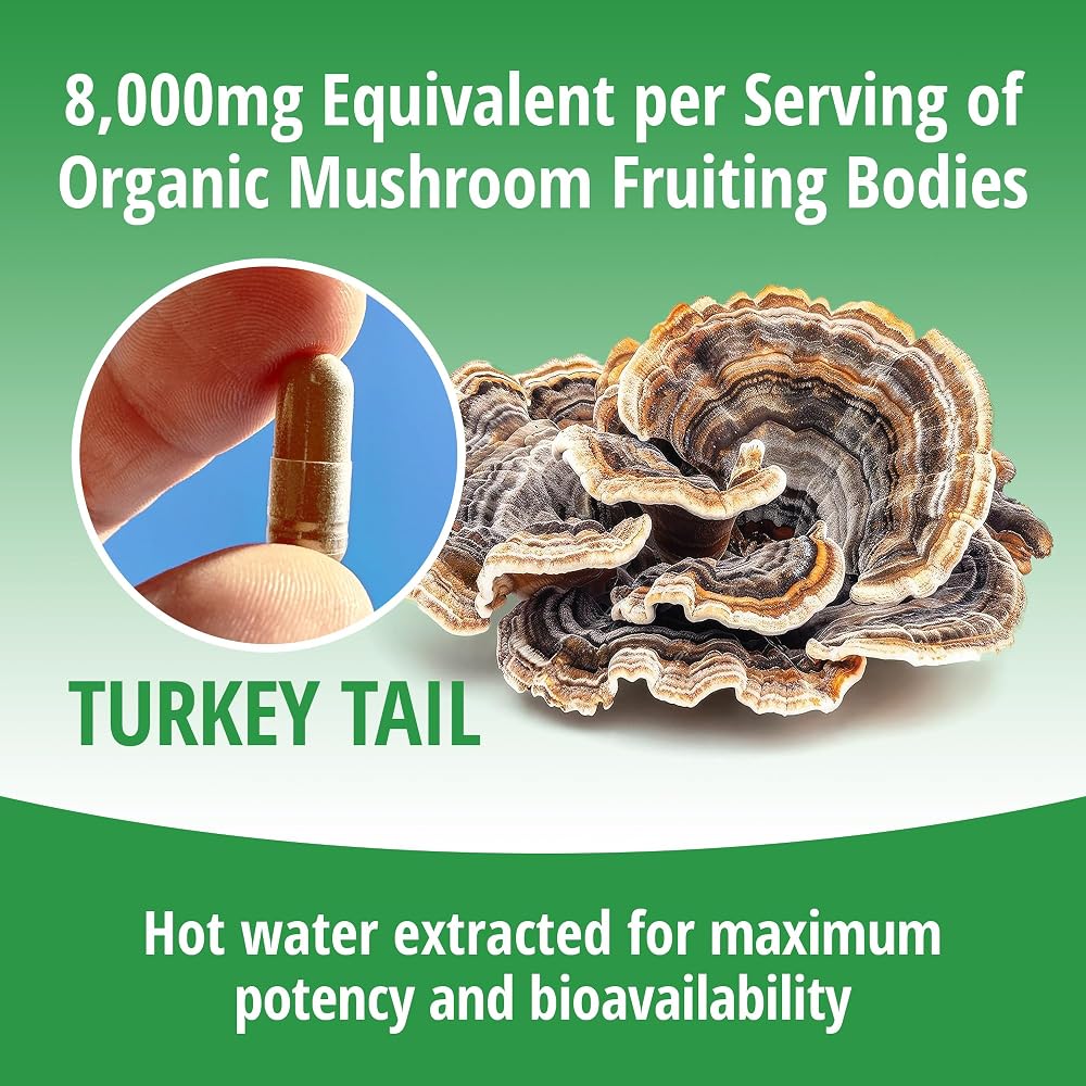 ENCAPSULATE Turkey Tail Capsules 8:1 Extract - 60 Vegan Capsules - image 7