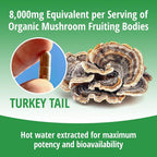 ENCAPSULATE Turkey Tail Capsules 8:1 Extract - 60 Vegan Capsules - image 7